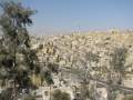 Αμμάν (Amman)