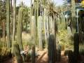 Μαρακές (Marrakech)
