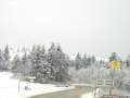 Γκάμπροβο  (Gabrovo)