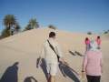 Οαση
