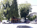 Πήλιο