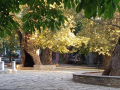 Βόρειο-ανατολικό Πήλιο
