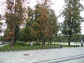 Βίλνιους (Vilnius)