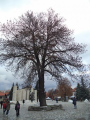 Μπάνσκο (Bansko)