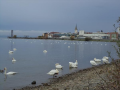 Φριντριχσάφεν (Friedrichshafen)