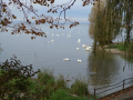Φριντριχσάφεν (Friedrichshafen)