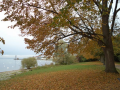 Φριντριχσάφεν (Friedrichshafen)