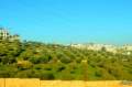 Amman