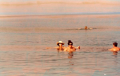 Νεκρά Θάλασσα (Dead Sea)