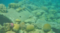 Άκαμπα (Aqaba)