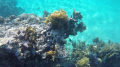 Άκαμπα (Aqaba)