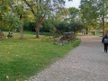 Νησί Σουομενλίνα (Suomenlinna)