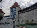 Τάλιν (Tallinn)