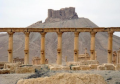 Παλμύρα (Palmyra)