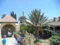 Λάρνακα (Larnaca)