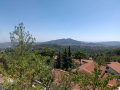 Όμοδος (Omodos)
