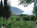 Δάφνη (Dafni)