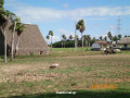 Αβάνα (Havana)