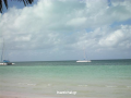 Cayo blanko