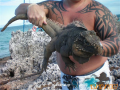 Cayo largo