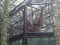 zoo