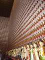 10000 Buddhas monastery
