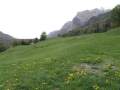 HEIDILAND