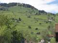 Werdenberg