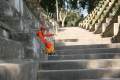 Nepal 2011