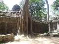 Angkor Wat