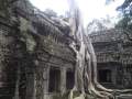 Angkor Wat