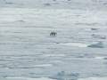 Svalbard