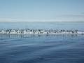 Svalbard