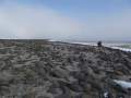 Svalbard