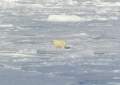 Svalbard
