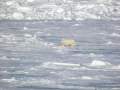 Svalbard