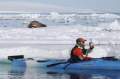 Svalbard