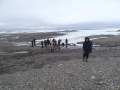 Svalbard