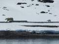 Svalbard