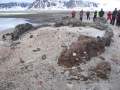 Svalbard