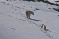 Svalbard