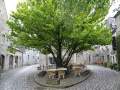 Durbuy