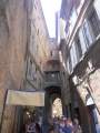 Siena
