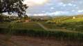 Περιοχή Chianti