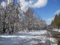 Velingrad