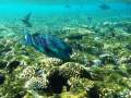 Sharm el Sheikh